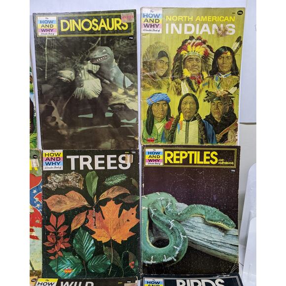 Book Lot 12 Vintage How and Why Wonder Children's Books Classroom Educational - Picture 2 of 6
